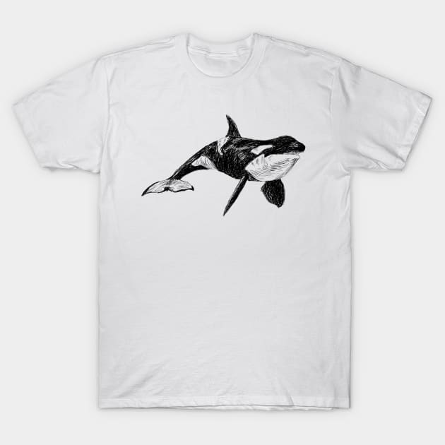 Killer Whale Image T-Shirt by rachelsfinelines